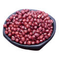 Wholesale High Quality red Vigna Mung Beans